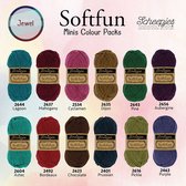 Scheepjes Softfun couleur pack 12x20g Jewel