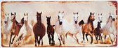 2D metalen wandbord "Paarden" 20x50cm