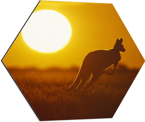 Dibond Hexagon - Zonsondergang Silhouet van een Kangoeroe - 60x52.2 cm Foto op Hexagon (Met Ophangsysteem)