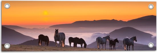 Tuinposter – Wilde Paarden bij de Zonsondergang - 60x20 cm Foto op Tuinposter (wanddecoratie voor buiten en binnen)