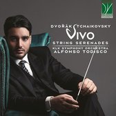 KLK Symphony Orchestra & Alfonso Todisco - Dvorak, Tchaikovsky: Vivo, String Serenades (CD)