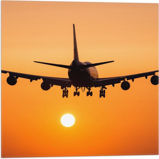 Vlag - Vliegtuig vliegend naar Horizon - 50x50 cm Foto op Polyester Vlag