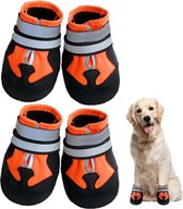 Bottes pour chien - Chaussures pour chien - protection des pattes