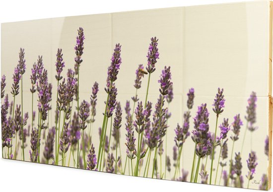Lavendel horizon - 4x2 Steigerhout Tegeltableau