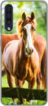 Geschikt voor Samsung Galaxy A50 hoesje - Paarden - Licht - Weide - Siliconen Telefoonhoesje