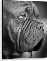 WallClassics - Canvas - Kwijlende Hond (Zwart- wit) - 75x100 cm Foto op Canvas Schilderij (Wanddecoratie op Canvas)