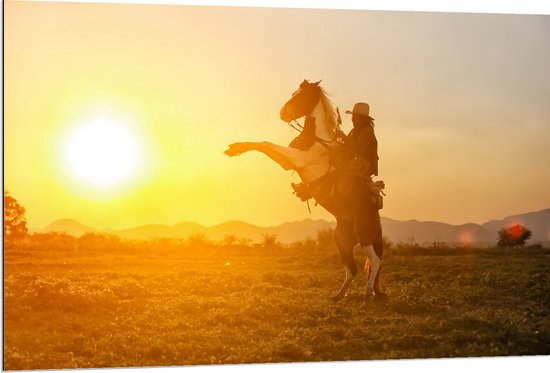 Dibond - Felle Grote Zon achter Stijgerend Paard met Cowboy - 120x80 cm Foto op Aluminium (Met Ophangsysteem)
