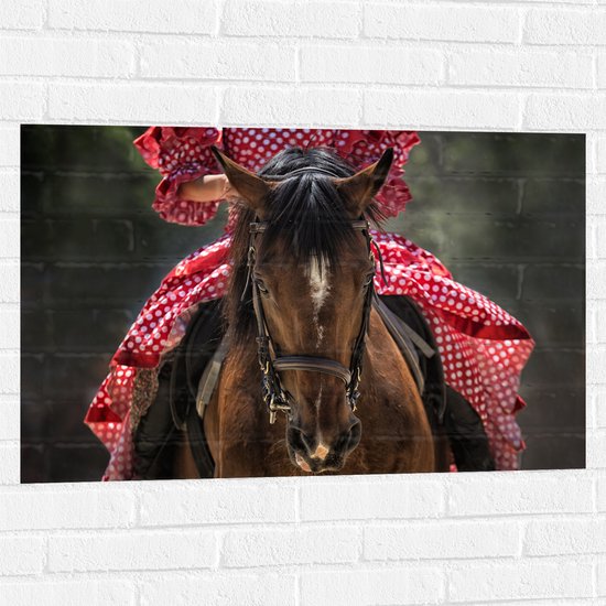 WallClassics - Muursticker - Vooraanzicht van Paard met Vrouw op Rug - 90x60 cm Foto op Muursticker