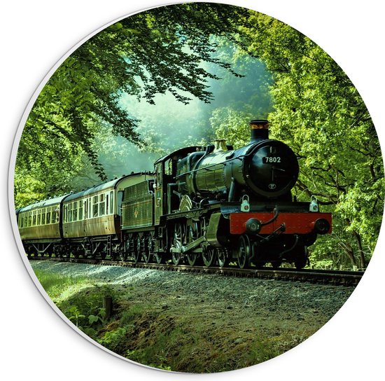 WallClassics - Cercle mural en panneau de mousse PVC - Train à vapeur sur Rails dans la forêt - Photo 20x20 cm sur cercle mural (avec système de suspension)