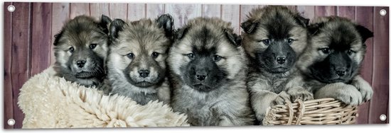 WallClassics - Tuinposter – Schattige Puppy's in Mand met zacht Dekentje - Eurasiër - 120x40 cm Foto op Tuinposter (wanddecoratie voor buiten en binnen)