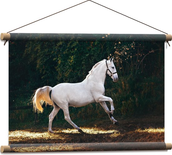 WallClassics - Textielposter - Wit Rennend Paard in het Bos - 60x40 cm Foto op Textiel