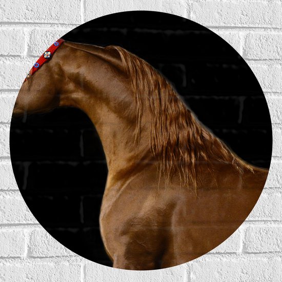 WallClassics - Muursticker Cirkel - Zijkant van Bruin Paard tegen Zwarte Achtergrond - 60x60 cm Foto op Muursticker
