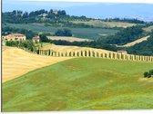 Dibond - Heuvelachtig Zomers Landschap met Traditionele0 Gebouwen - 80x60 cm Foto op Aluminium (Wanddecoratie van metaal)