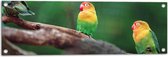 Tuinposter – Trio van Blije Kleurrijke Vogels op Takken van Bomen - 90x30 cm Foto op Tuinposter (wanddecoratie voor buiten en binnen)