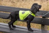 Gilet pour chien imprimé avec texte "Do not pet, in training" taille S