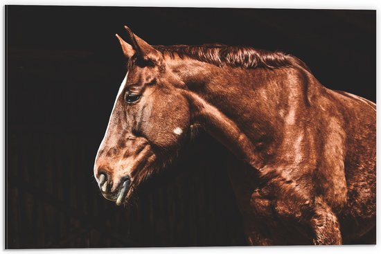 WallClassics - Dibond - Zijaanzicht van Bruin Paard - 60x40 cm Foto op Aluminium (Wanddecoratie van metaal)