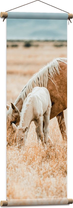WallClassics - Textielposter - Bruin Paard met Veulen in de Wei - 30x90 cm Foto op Textiel
