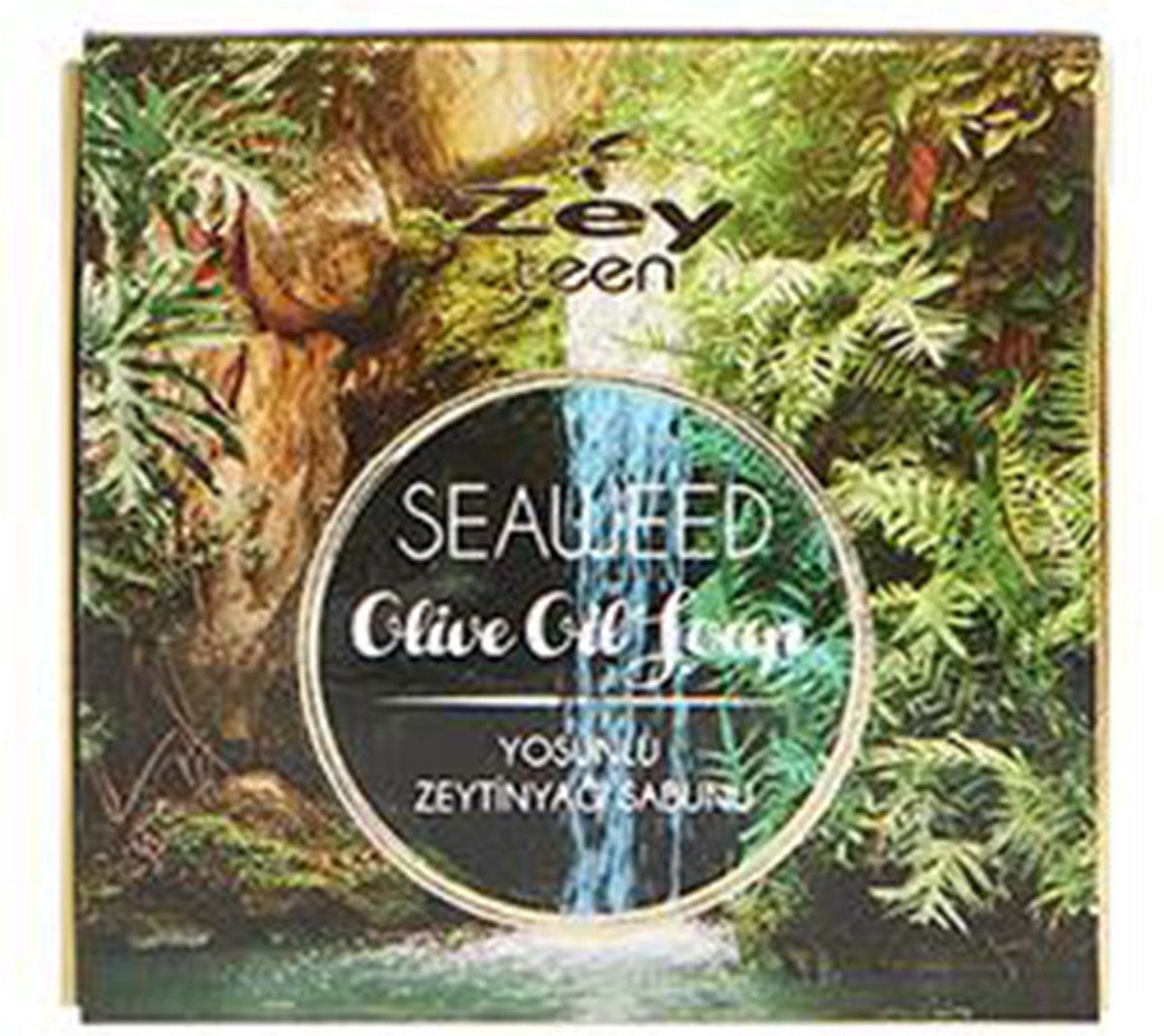 Goedkoopste Olivos SPA-serie zeewierzeep - 100 g