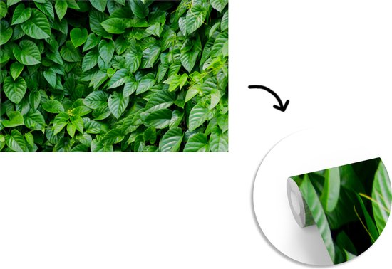 Papier peint Papier peint photo en vinyle - Feuilles vertes largeur 330 cm x hauteur 220 cm - Tirage photo sur papier peint (disponible en 7 tailles)
