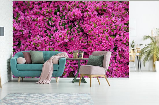 Papier peint photo peint photo vinyle - Azalée buisson largeur 330 cm x hauteur 220 cm - Tirage photo sur papier peint (disponible en 7 tailles)