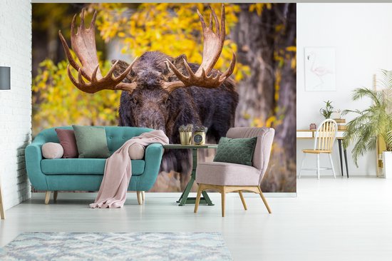 Papier peint - Papier peint photo peint - Orignal dans un paysage d'automne - Largeur 325 cm x hauteur 260 cm