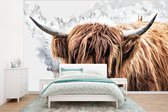 Behang - Fotobehang Schotse hooglander - Dieren - Rook - Breedte 350 cm x hoogte 260 cm