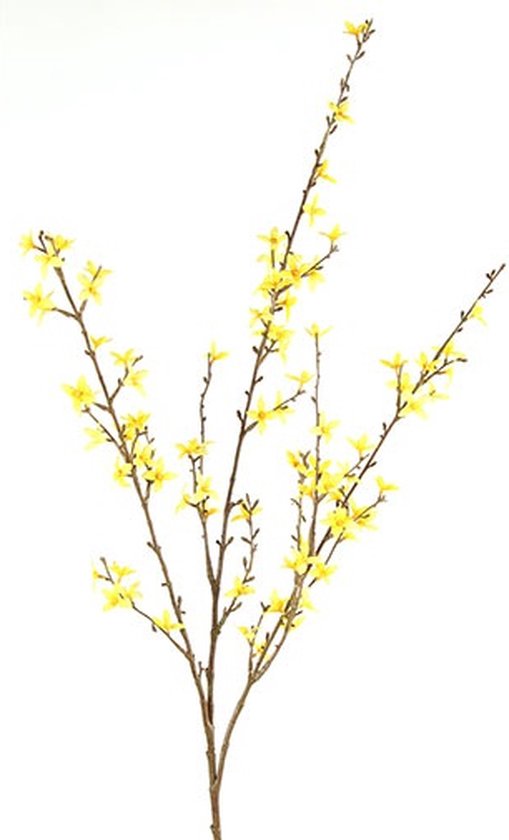 Paastak - Forsythia Tak geel - Lente & paas decoratie bloemen - L120cm -  B13cm - H1,5CM | bol.com