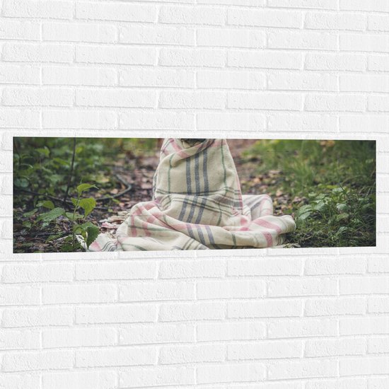 WallClassics - Muursticker - Bruin Hondje Gewikkeld in een Kleedje - 120x40 cm Foto op Muursticker