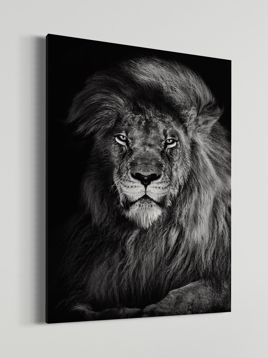 Leeuw | Schobbejak Animal Collection | Canvas | Wanddecoratie | Kunst | Schilderij | 100x150 CM