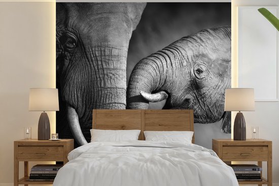 Behang - Fotobehang Wilde dieren - Olifant - Zwart - Wit - Portret - Breedte 240 cm x hoogte 240 cm