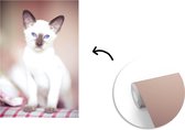 Behang - Fotobehang Witte Siamese kat op een tafelkleed - Breedte 190 cm x hoogte 280 cm