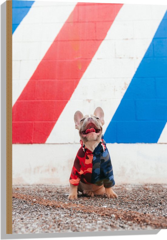 WallClassics - Hout - Blije Hond met Trui en Kleurrijke Achtergrond - 50x75 cm - 9 mm dik - Foto op Hout (Met Ophangsysteem)