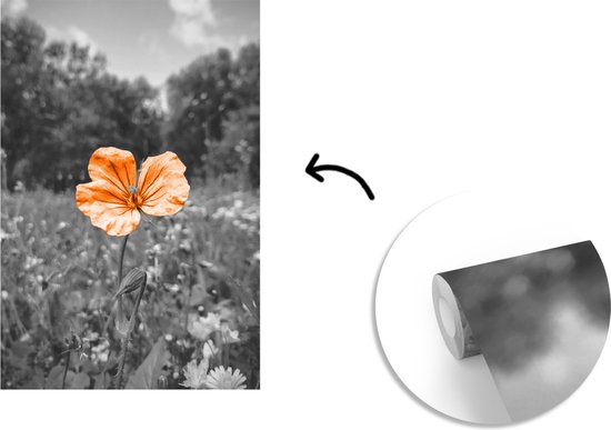Papier peint - Papiers Papier peint photo Fleurs - Zwart - Wit - Oranje - Largeur 225 cm x Hauteur 350 cm