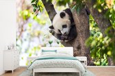 Behang - Fotobehang Panda - Boom - Slapen - Blad - Breedte 525 cm x hoogte 350 cm