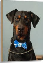 WallClassics - Hout - Hond met Blauwe Strik - 60x90 cm - 9 mm dik - Foto op Hout (Met Ophangsysteem)