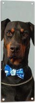 WallClassics - Tuinposter – Hond met Blauwe Strik - 30x90 cm Foto op Tuinposter (wanddecoratie voor buiten en binnen)