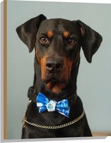 WallClassics - Hout - Hond met Blauwe Strik - 60x80 cm - 9 mm dik - Foto op Hout (Met Ophangsysteem)