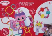 Playgro Olive Owl Geschenkset - Activiteiten speelset Baby - Baby Geschenkset