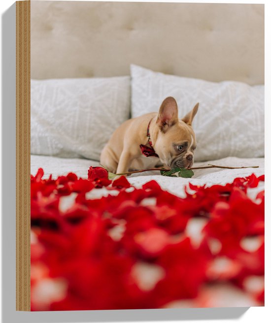 WallClassics - Hout - Hondje op Bed met Rode Rozenblaadjes - Franse Buldog - 30x40 cm - 9 mm dik - Foto op Hout (Met Ophangsysteem)