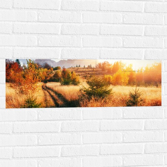 Muursticker - Felle Zon over Landschap met Oranje Bomen en Droge Grassen - 90x30 cm Foto op Muursticker