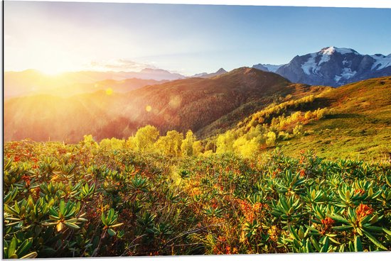 Dibond - Fel Zonlicht over Bergen met Bloemen, Sneeuw en Planten - 90x60 cm Foto op Aluminium (Met Ophangsysteem)