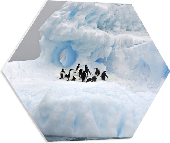 WallClassics - PVC Schuimplaat Hexagon - Pingiuns op Glad IJs - 60x52.2 cm Foto op Hexagon (Met Ophangsysteem)