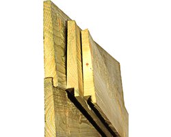 Intergard Douglas Zweeds rabat potdekselplanken 500cm (10/24x195mm)