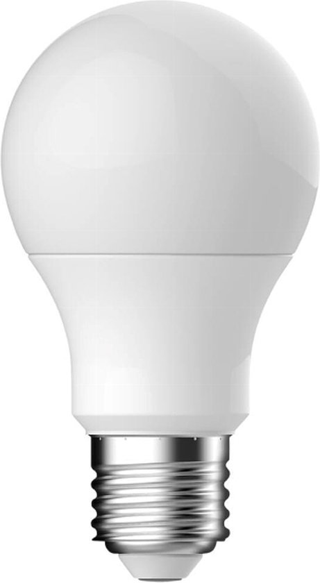 Ampoule LED E27 60W dépolie