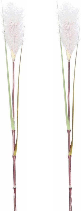 Mica Decorations - 2 pcs - Roseau/herbe à plumes plante artificielle tige/branche lâche - panache vert/blanc - 72 cm
