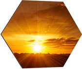 Dibond Hexagon - Felle Zonsondergang aan de Horizon achter Bomen - 50x43.5 cm Foto op Hexagon (Met Ophangsysteem)