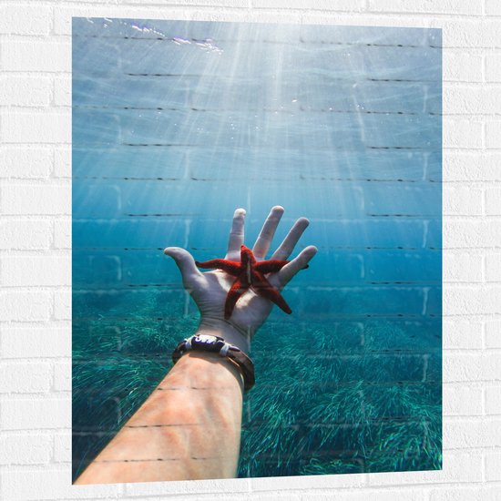 WallClassics - Muursticker - Rode Zeester Onder Water - 75x100 cm Foto op Muursticker