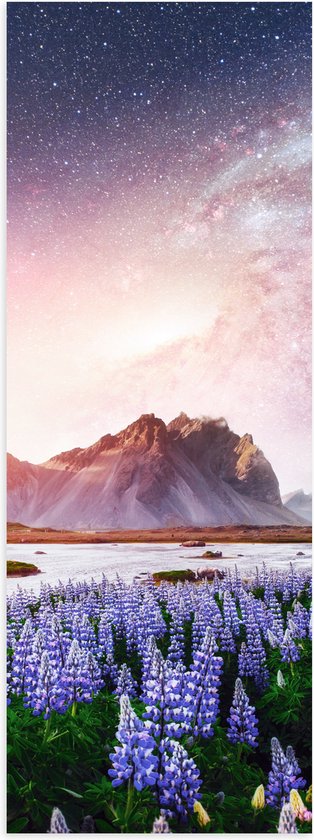 Poster Glanzend – Lavendelveld in Landschap met Bergen onder Sterrenhemel - 20x60 cm Foto op Posterpapier met Glanzende Afwerking