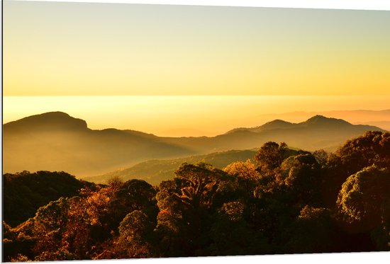 Dibond - Bos vol Bomen voor Berglandschap - 120x80 cm Foto op Aluminium (Wanddecoratie van metaal)