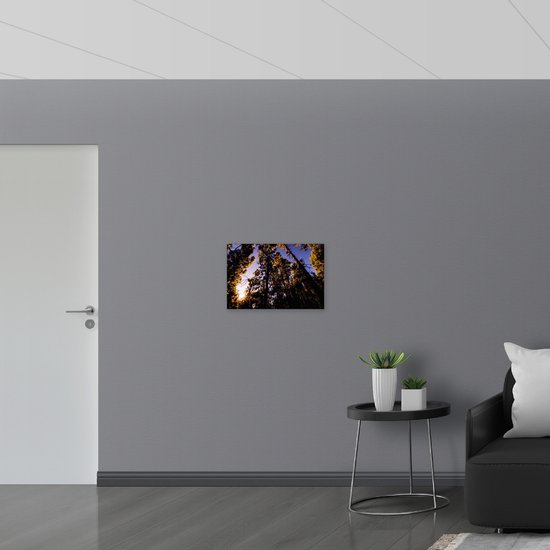 Canvas - Felle Zonnestralen door Groene Bladeren aan Hoge Smalle Bomen - 60x40 cm Foto op Canvas Schilderij (Wanddecoratie op Canvas)